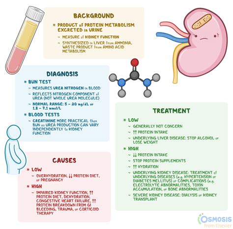 Hidden Causes of High or Low Blood Urea Nitrogen .